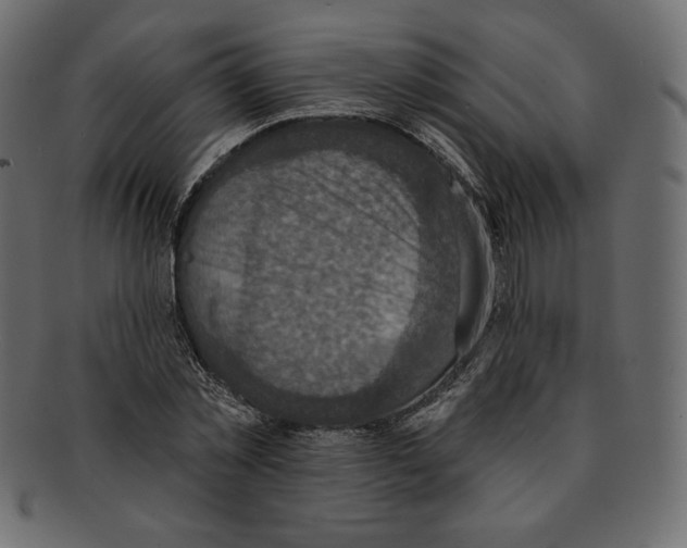 X0000091910781200710031018