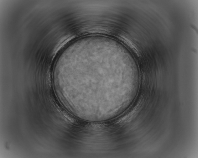 X0000091910782200710031018