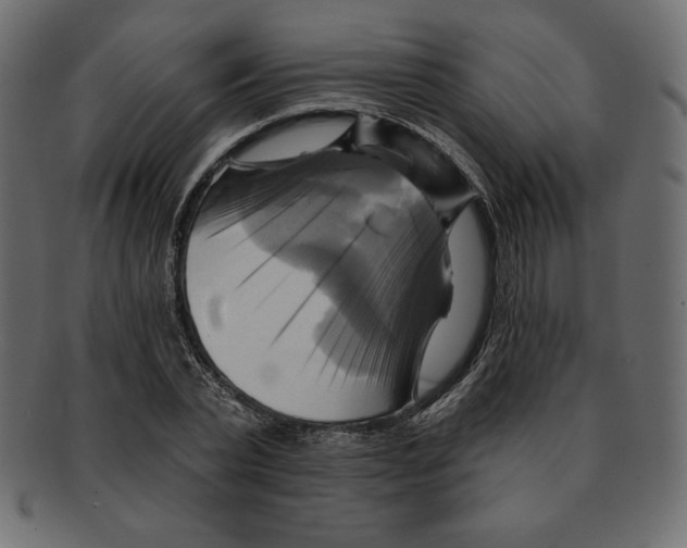 X0000091910783200710031018