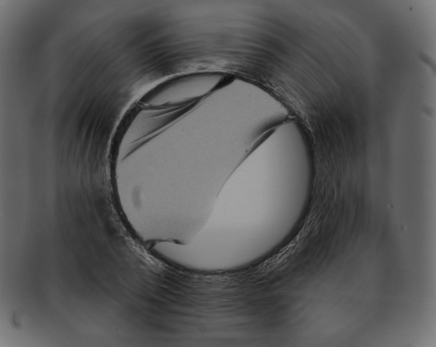 X0000091910784200710031018