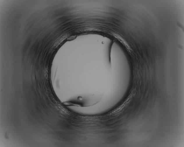 X0000091910785200710031018