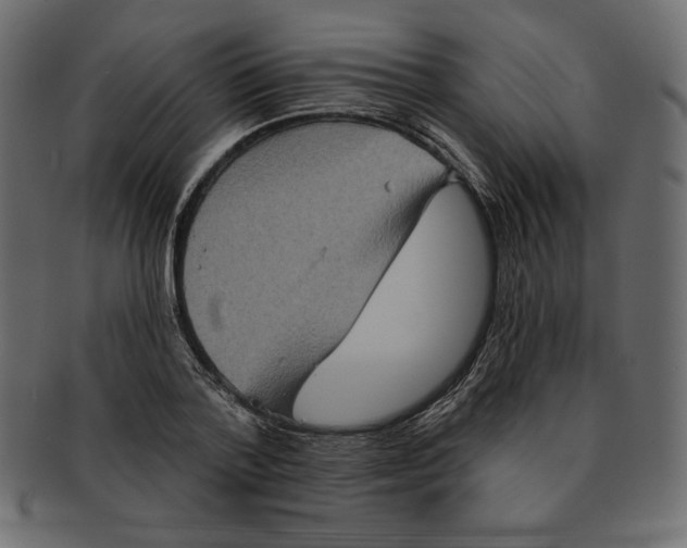 X0000091910788200710031018