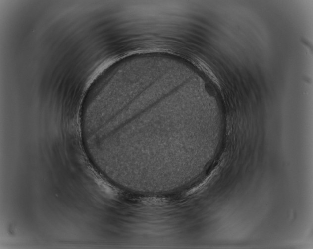 X0000091910789200710031018