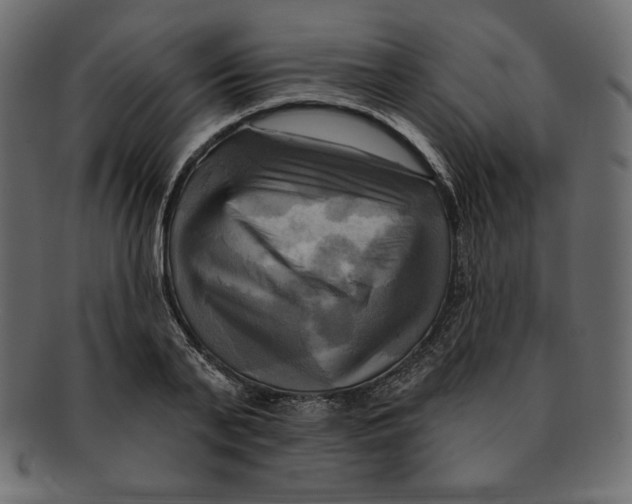 X0000091910791200710031018