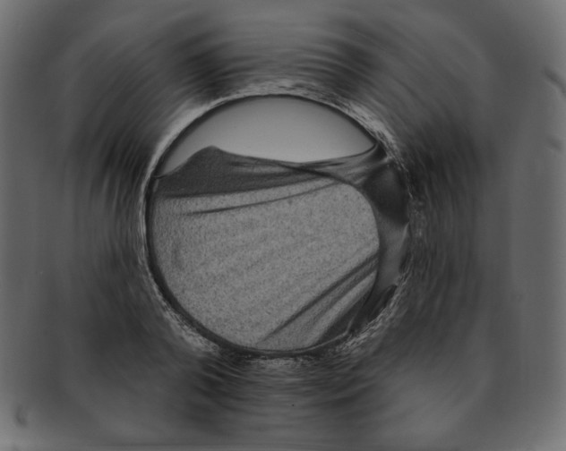 X0000091910792200710031018