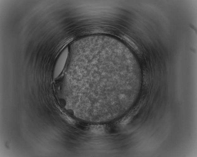 X0000091910793200710031018