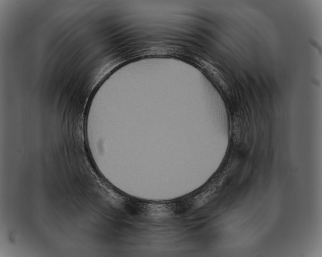 X0000091910794200710031018