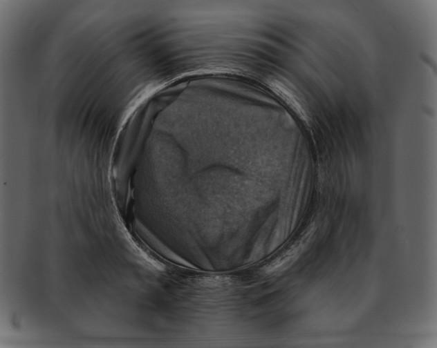 X0000091910797200710031018