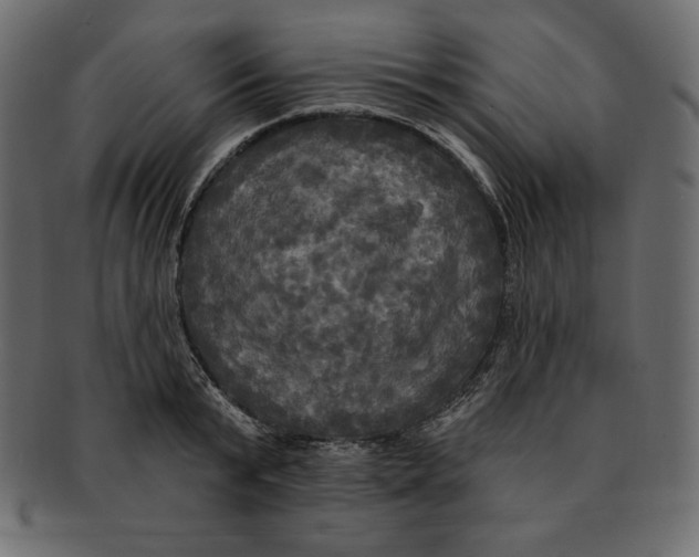 X0000091910799200710031018