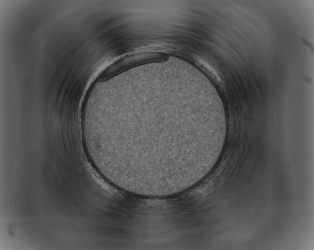 X0000091910800200710031018