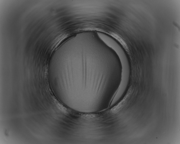 X0000091910801200710031018