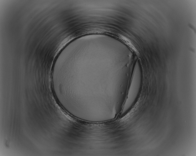 X0000091910802200710031018