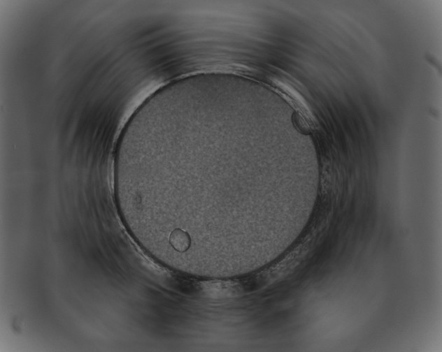 X0000091910804200710031018