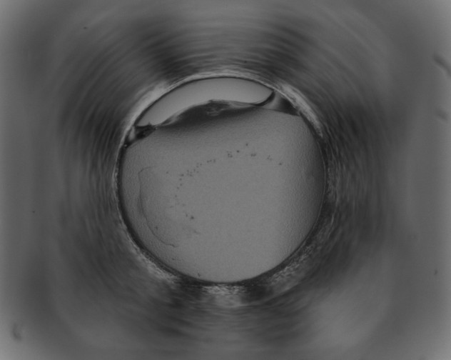 X0000091910805200710031018