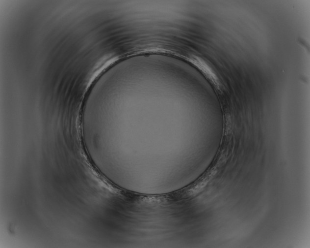 X0000091910806200710031018