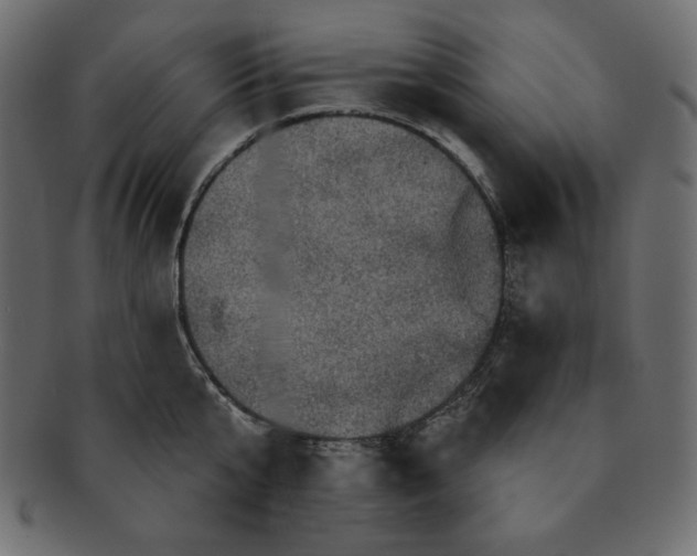 X0000091910807200710031018