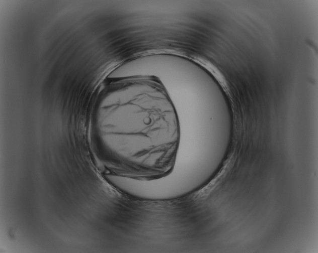 X0000091910809200710031018