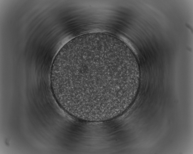 X0000091910810200710031018