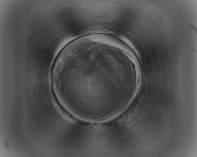 X0000091910811200710031018