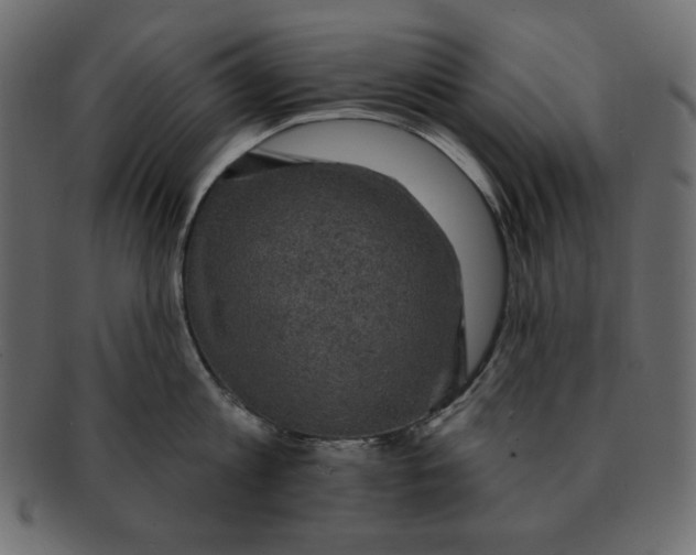 X0000091910813200710031018