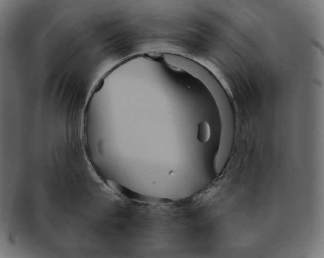 X0000091910815200710031018