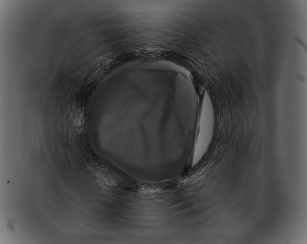 X0000091910818200710031017