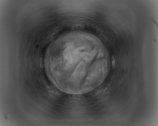 X0000091910819200710031017