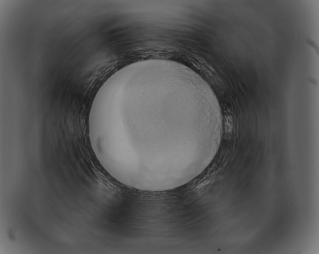 X0000091910820200710031017