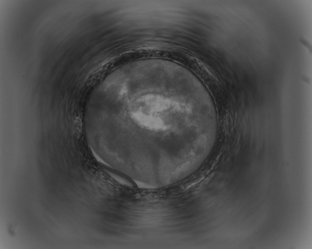 X0000091910821200710031017