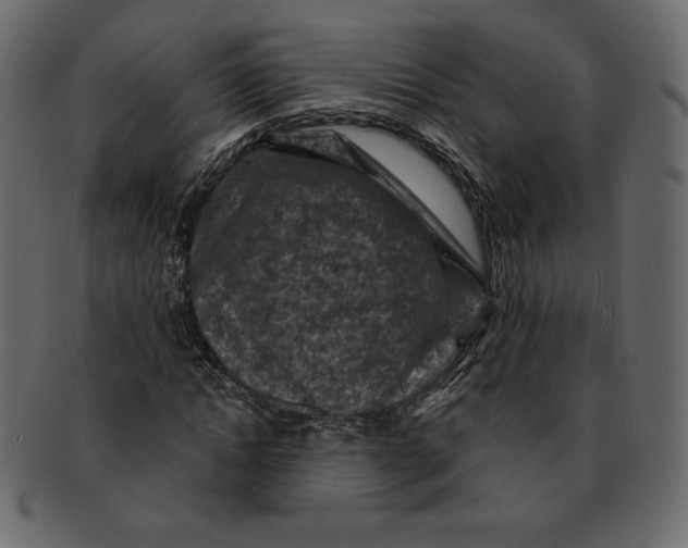 X0000091910822200710031017