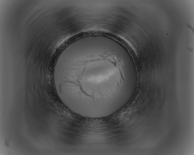 X0000091910823200710031017