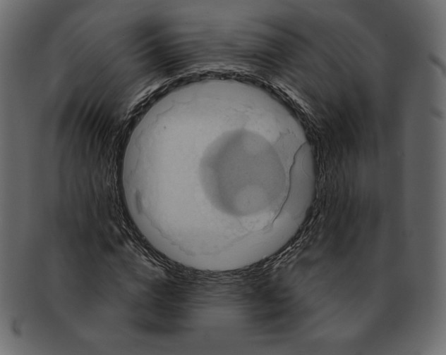 X0000091910824200710031017