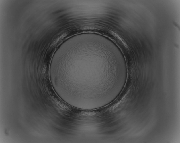 X0000091910825200710031017