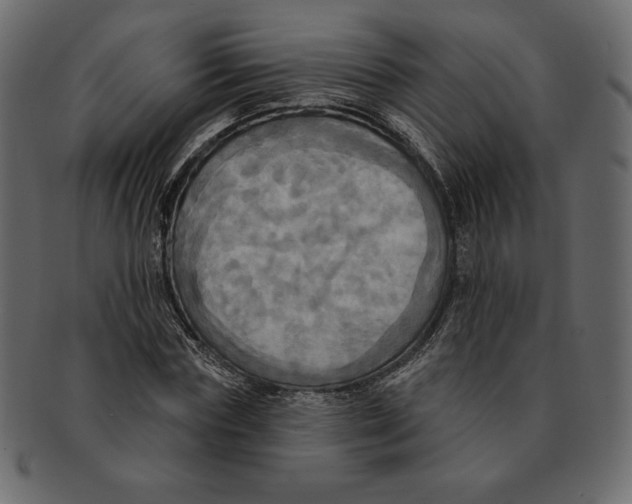 X0000091910827200710031017