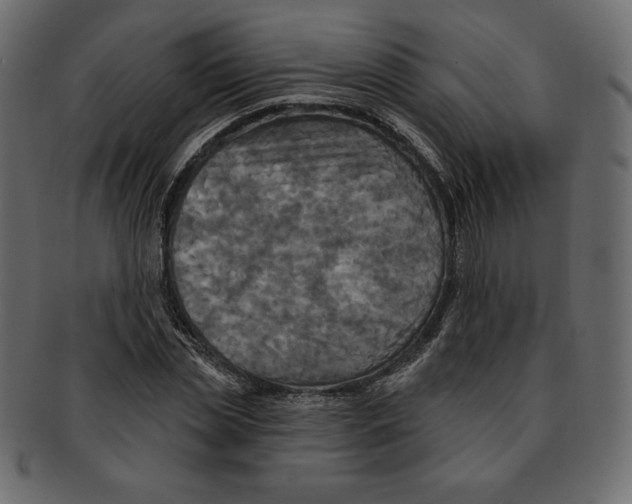 X0000091910829200710031017