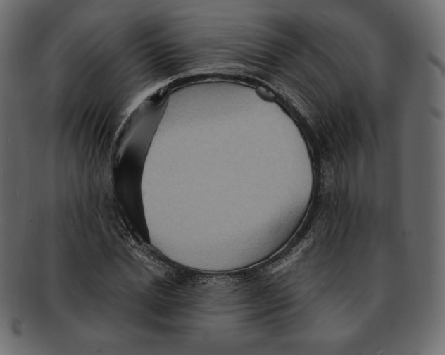 X0000091910830200710031017