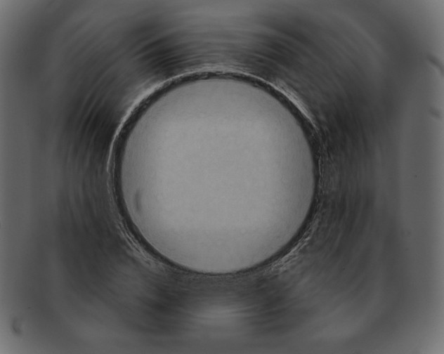 X0000091910832200710031017