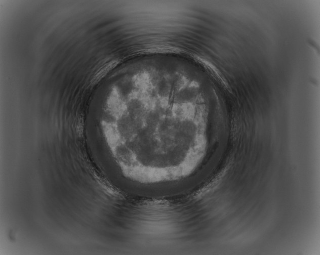 X0000091910833200710031017