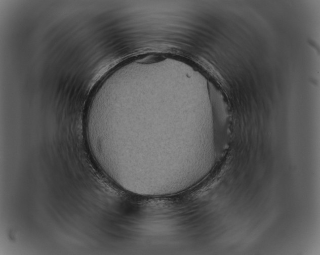 X0000091910834200710031017