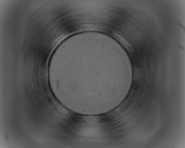 X0000091910836200710031017