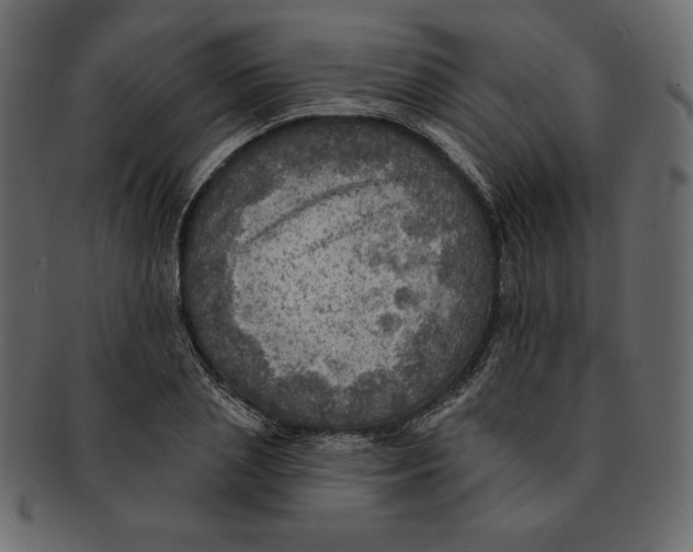 X0000091910837200710031017