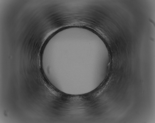 X0000091910838200710031017