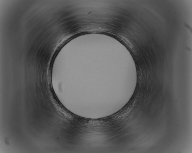 X0000091910840200710031017