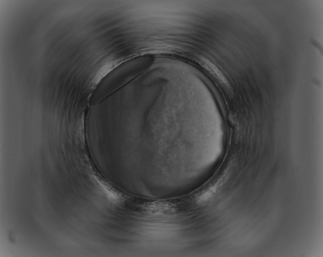 X0000091910842200710031017