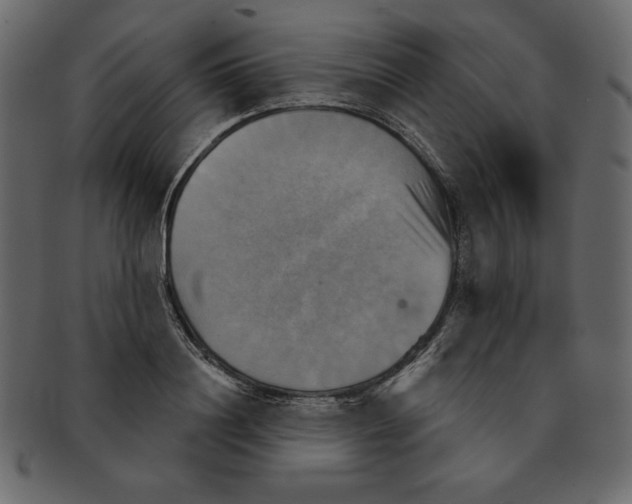 X0000091910844200710031017