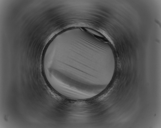 X0000091910845200710031017