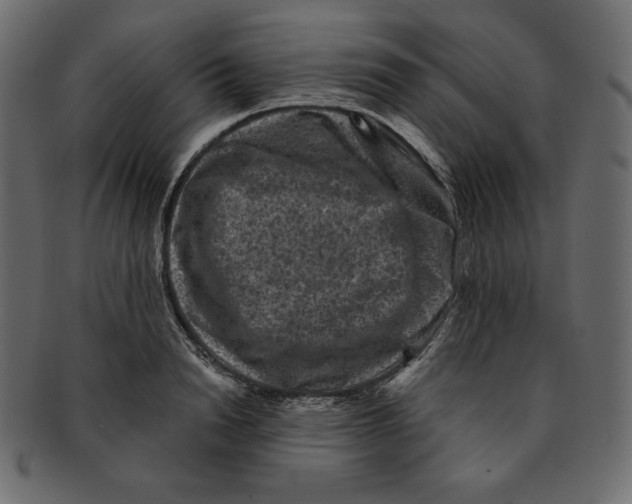 X0000091910846200710031017