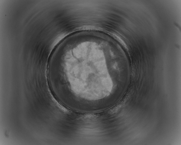 X0000091910847200710031017