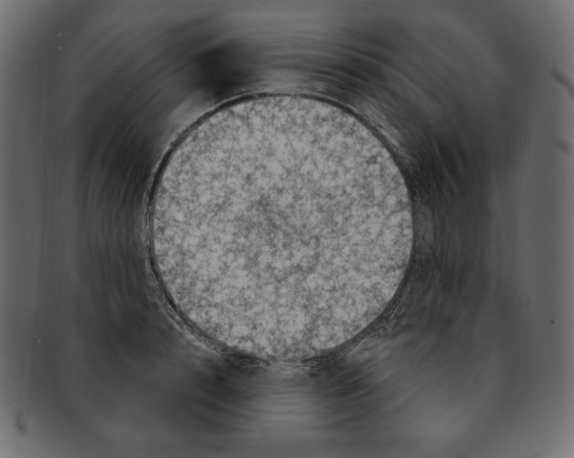 X0000091910848200710031017