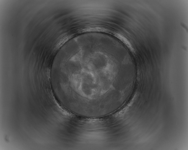 X0000091910849200710031017